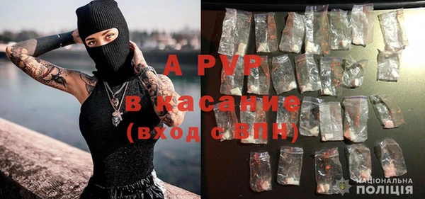 спиды Белокуриха