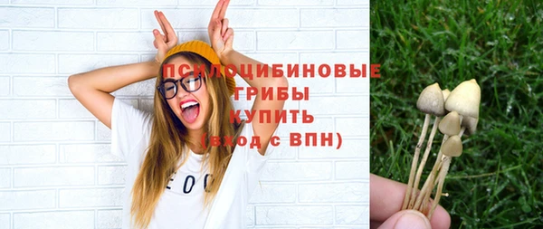 спиды Белокуриха