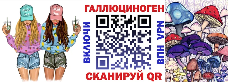 как найти наркотики  Вятские Поляны  Галлюциногенные грибы Psilocybe 