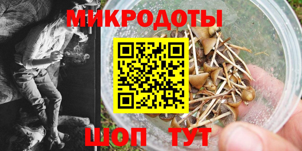 Псилоцибиновые грибы MAGIC MUSHROOMS  Вход с VPN  Вятские Поляны 