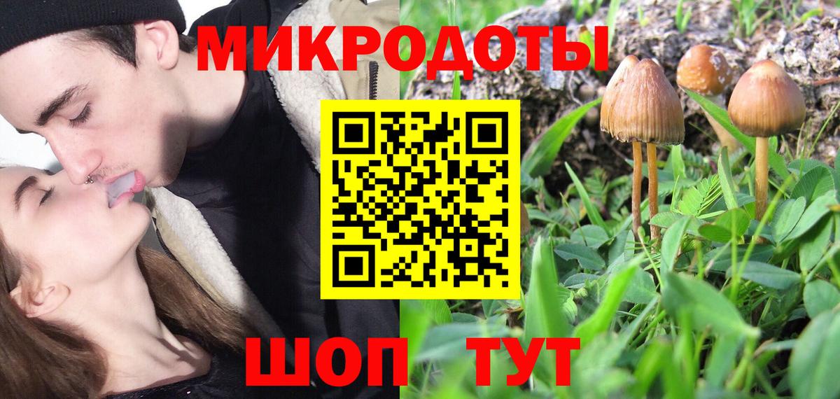 Псилоцибиновые грибы Magic Shrooms Вятские Поляны