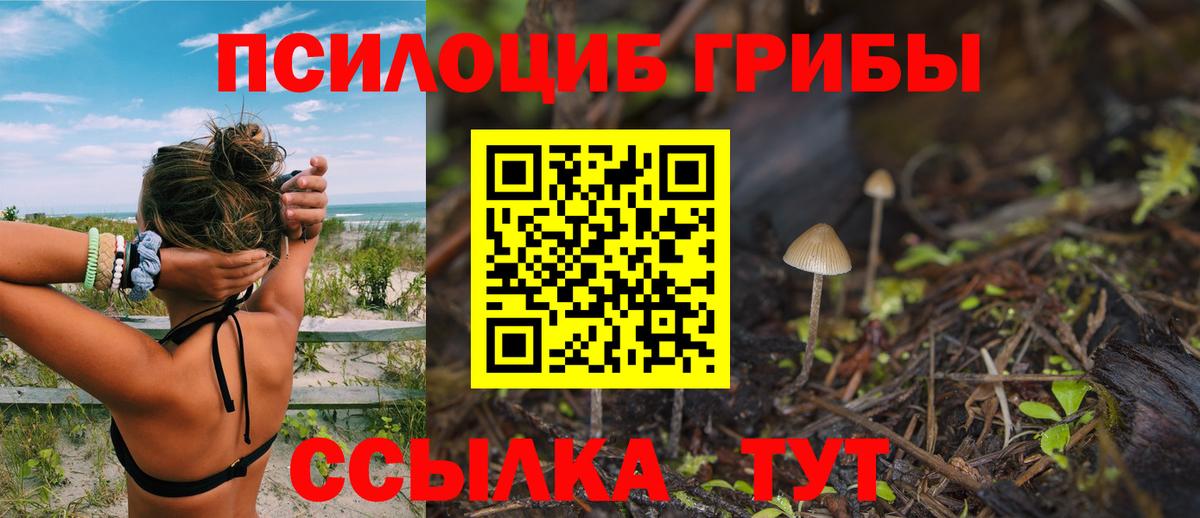 ТГК Вятские Поляны